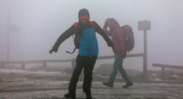 Almanya'yı vuran Sabine Kasırgası hayatı felç etti