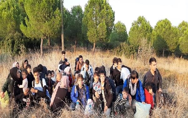 Çanakkale'de 135 kaçak göçmen yakalandı